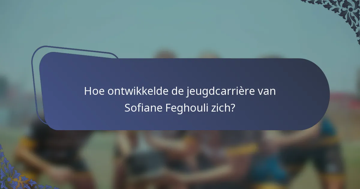 Hoe ontwikkelde de jeugdcarrière van Sofiane Feghouli zich?