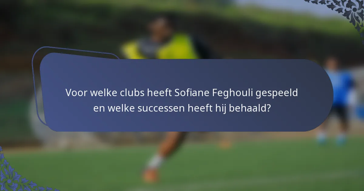Voor welke clubs heeft Sofiane Feghouli gespeeld en welke successen heeft hij behaald?