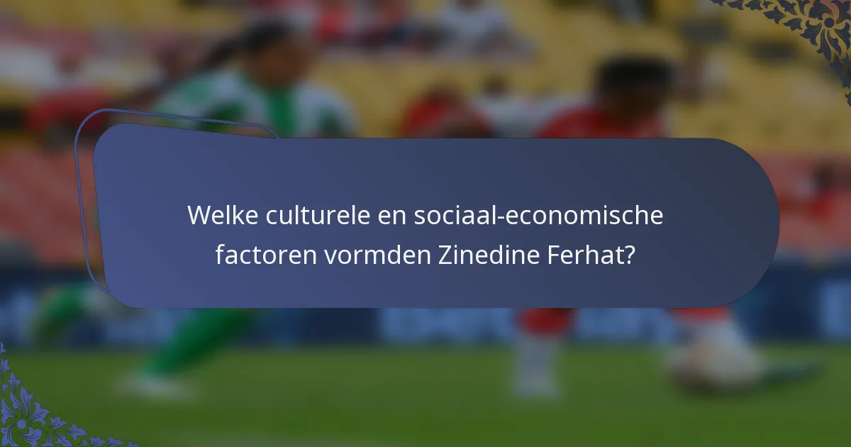 Welke culturele en sociaal-economische factoren vormden Zinedine Ferhat?